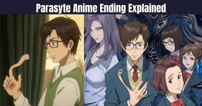 Parasyte Anime Ending Explained