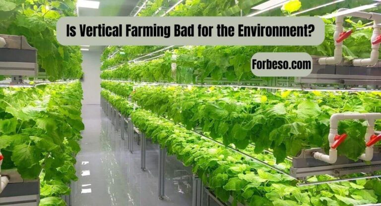 Is Vertical Farming Bad for the Environment