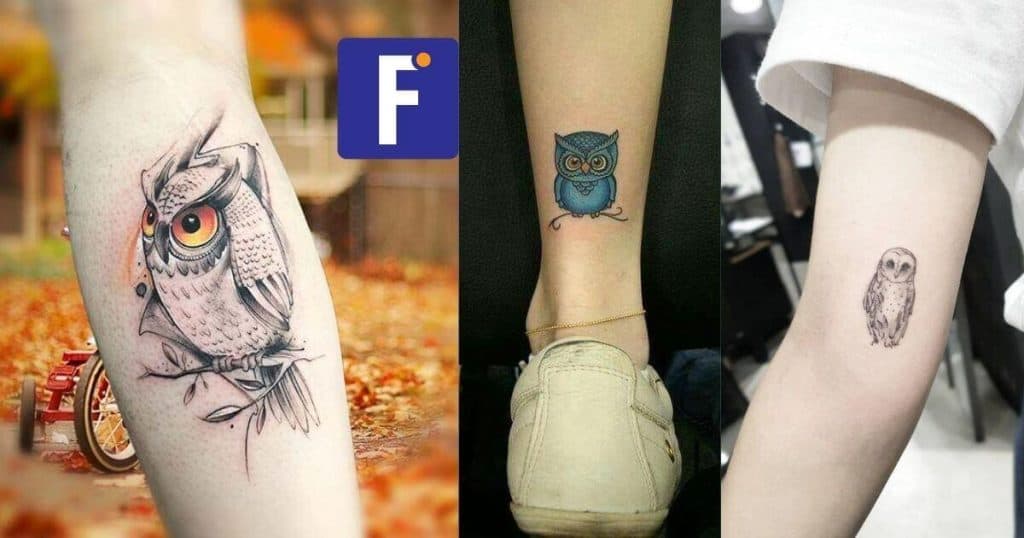 Best Small Owl Tattoo  for Guys
