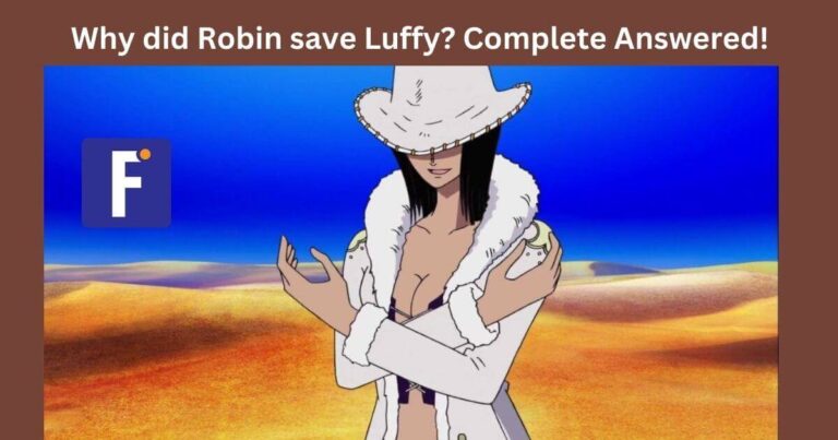 Why did Robin save Luffy Complete Answered