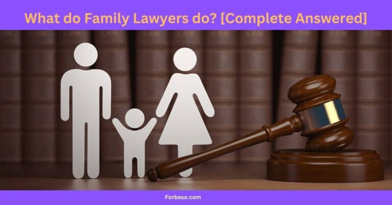 What do Family Lawyers do