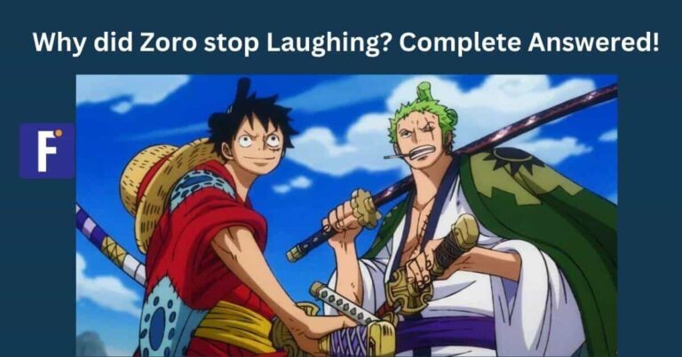 Why did Zoro stop Laughing